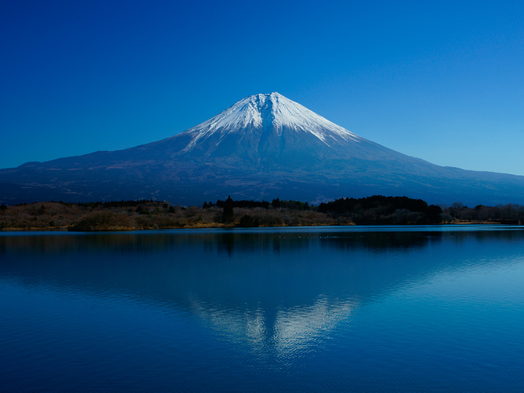 富士山・富士五湖