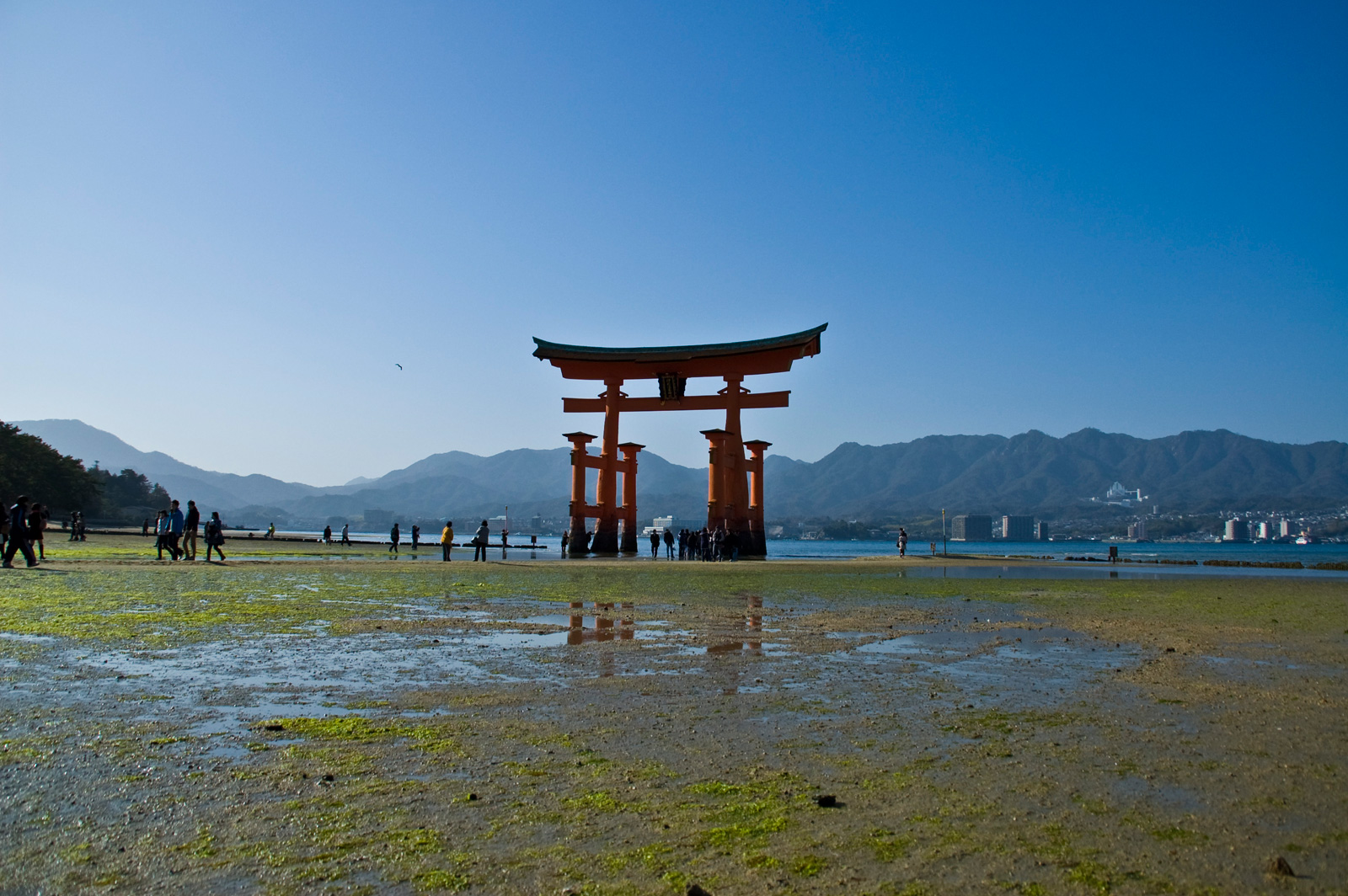 宮島
